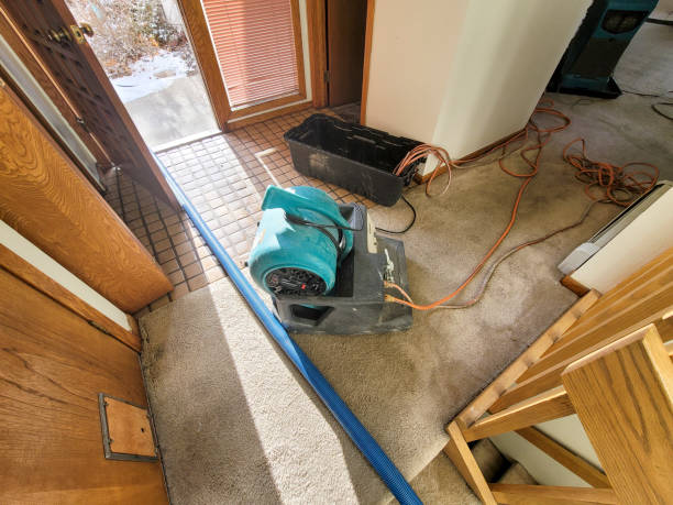 Best Residential water damage restoration  in Kaufman, TX