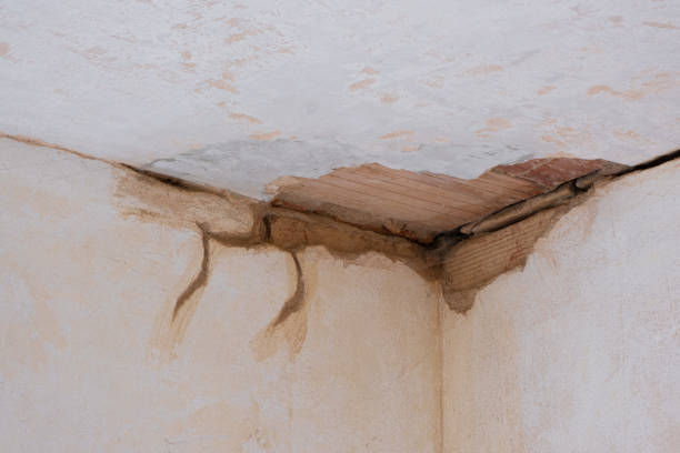 Best Flooded house restoration  in Kaufman, TX